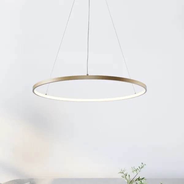 Zuma Line 2023201-GD60 - Lampadario LED a sospensione con filo BRENO LED/28W/230V 3000/4000/6000K