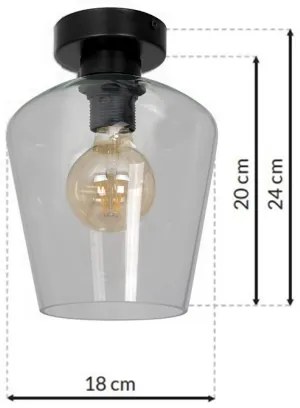 Plafoniera SANTIAGO 1xE27/60W/230V limpida