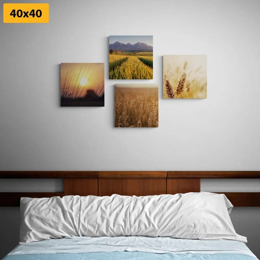 Set di quadri – Incanto della natura