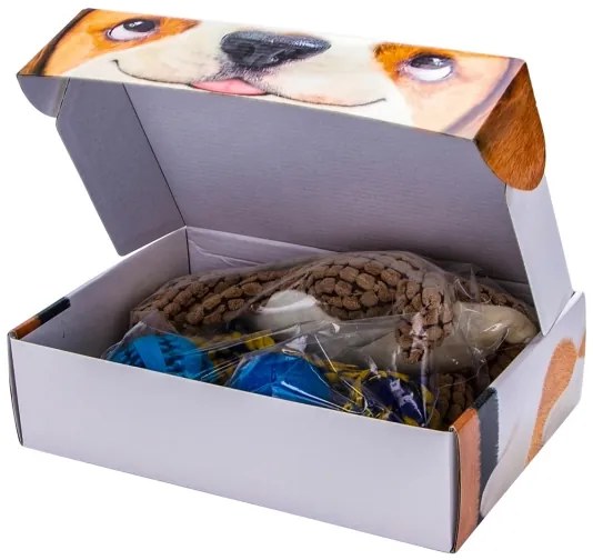 Nobleza - Set di giocattoli per cani 5 pz