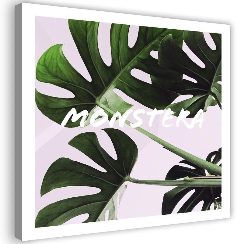 Quadro su tela, Foglie esotiche di Monstera  Dimensioni 30x30