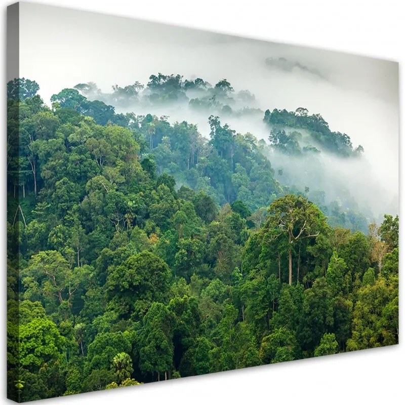 Quadro su tela, Foresta nella nebbia  Dimensioni 100x70