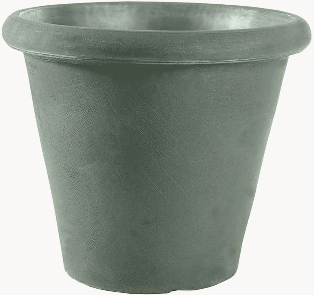 Portavaso Camelia