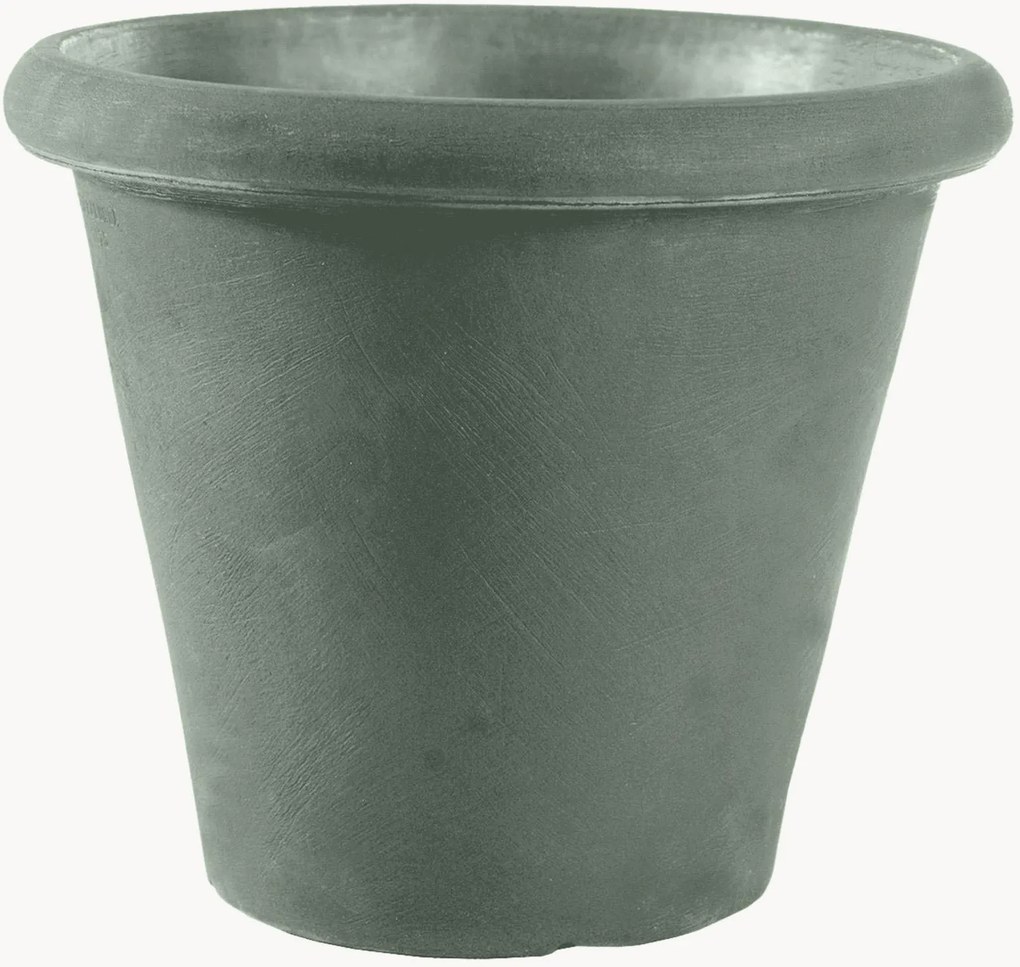 Portavaso Camelia