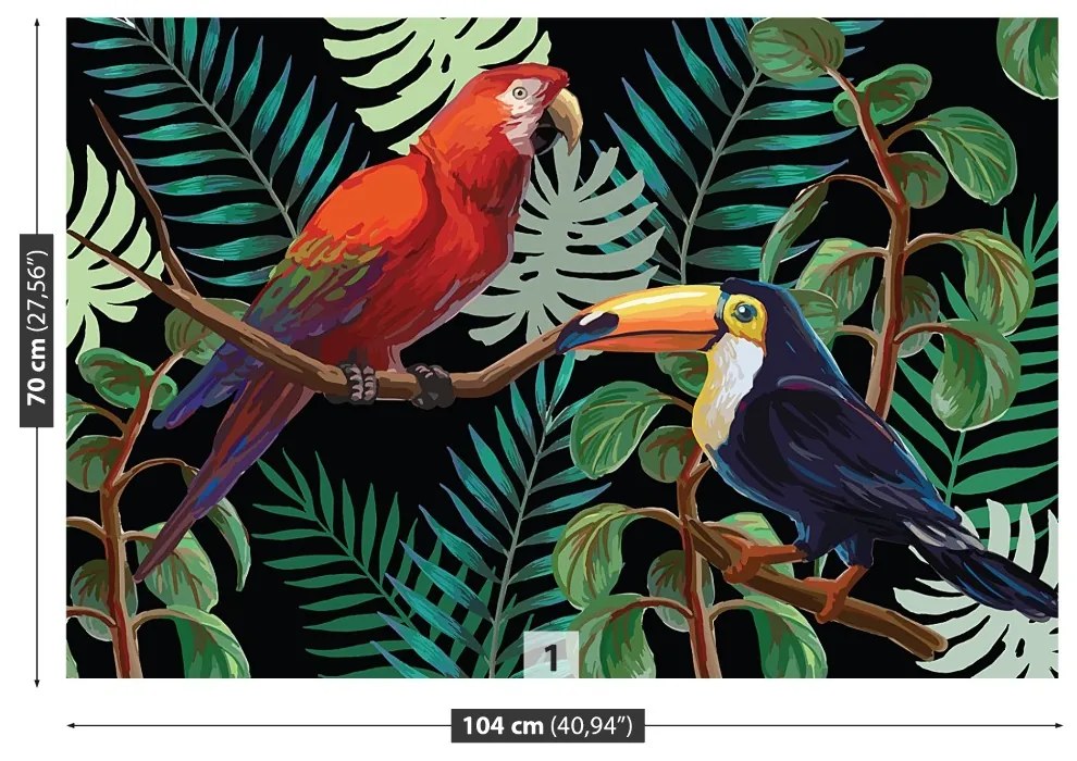 Carta da parati Ara toucan 104x70 cm