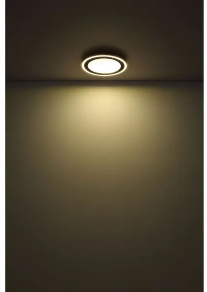 Globo 48902 - Plafoniera LED DAVIES LED/24W/230V