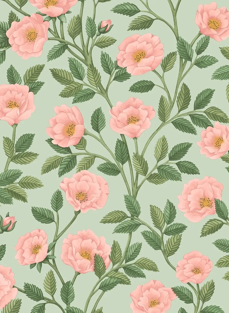 Cole & Son Carta da parati Hampton Roses - 118/7014
