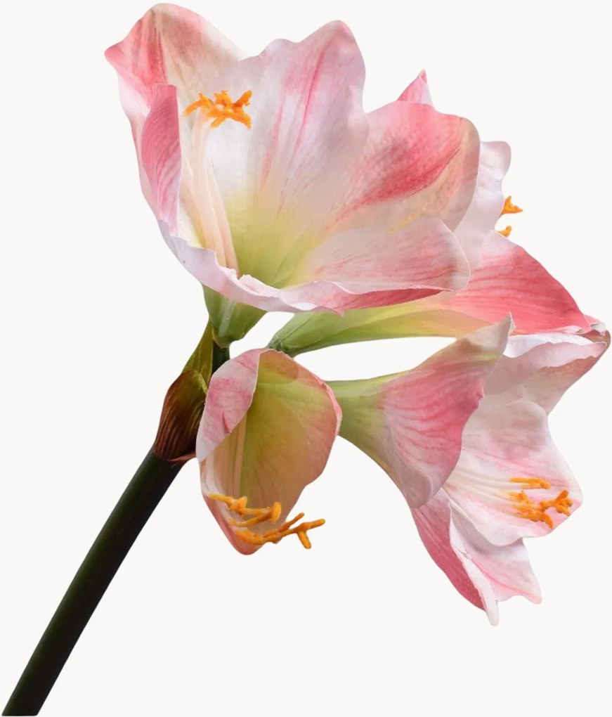 Set di 2 fiori artificiali Amaryllis