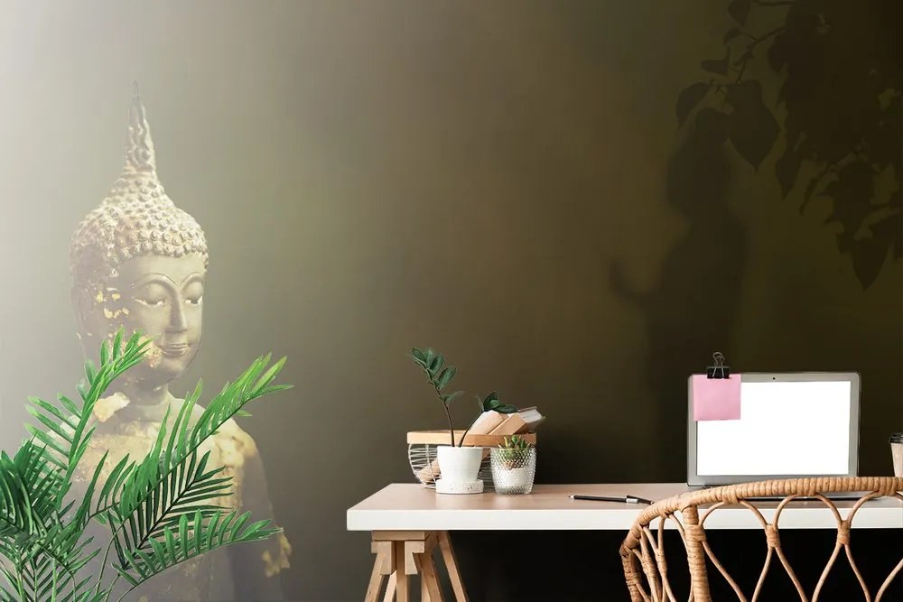 Carta da parati – Buddha e il suo riflesso