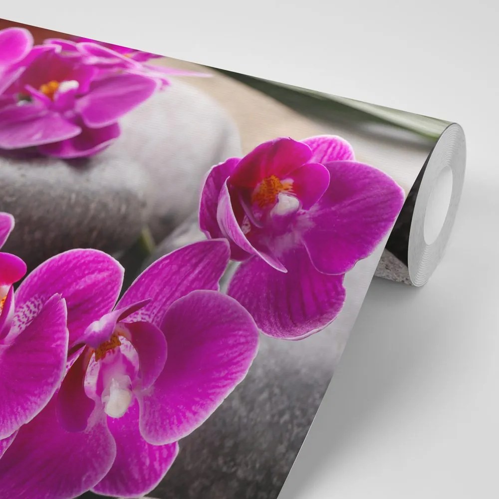 Carta da parati – Splendida orchidea e pietre zen