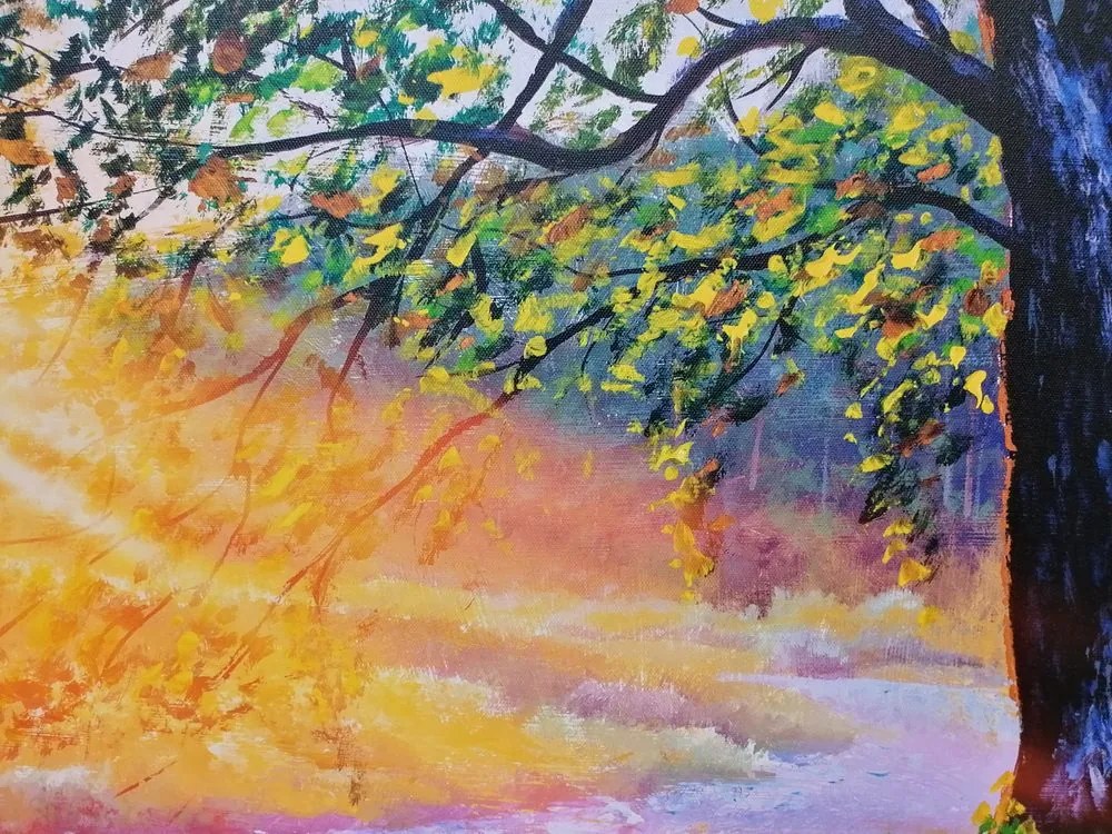 Quadro su tela – Alba nel bosco