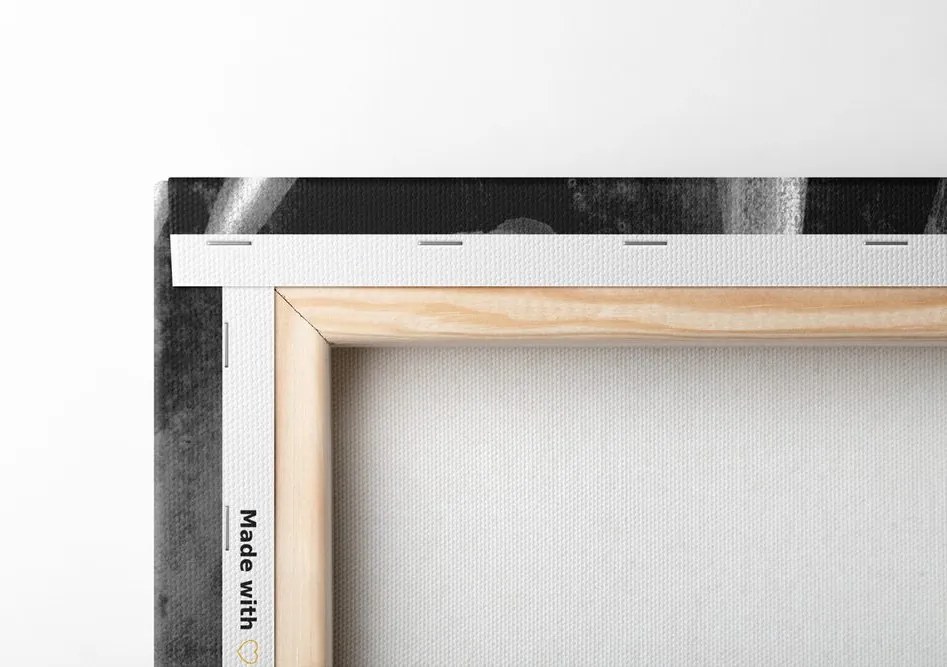 Quadro su tela – Fioritura di giglio in bianco e nero