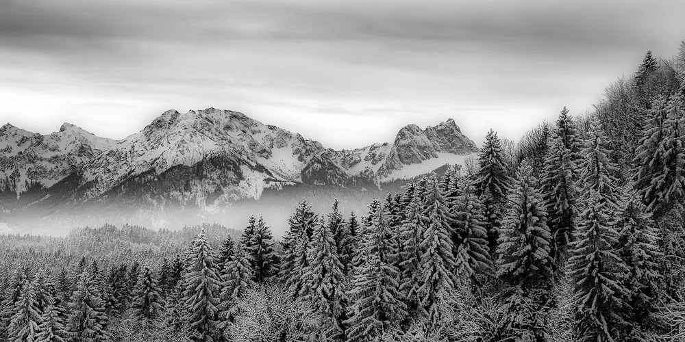 Stampa su tela – Montagne congelate in bianco e nero