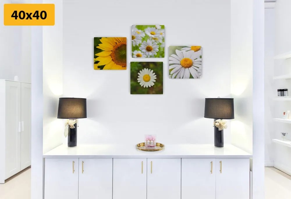 Set di quadri – Fiori di campo