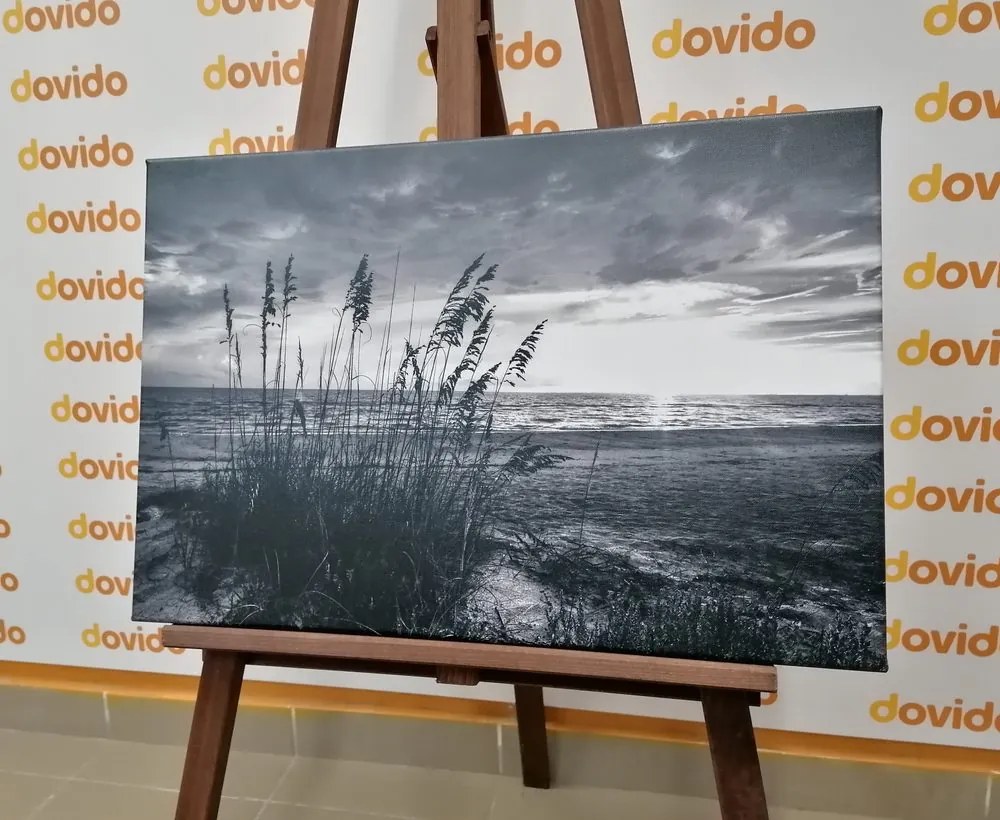 Stampa su tela – Tramonto sulla spiaggia in bianco e nero
