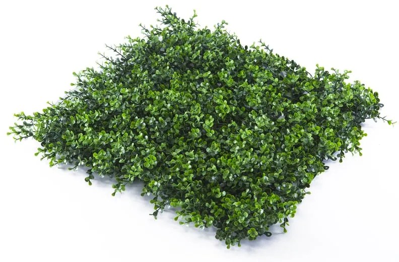 Parete verde artificiale Bosso Divy 3D in polietilene, verde H 1 m x L 1 m