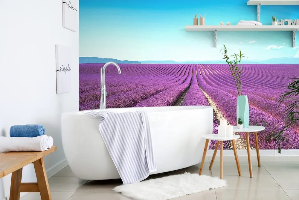 Carta da parati – Campo di lavanda infinito