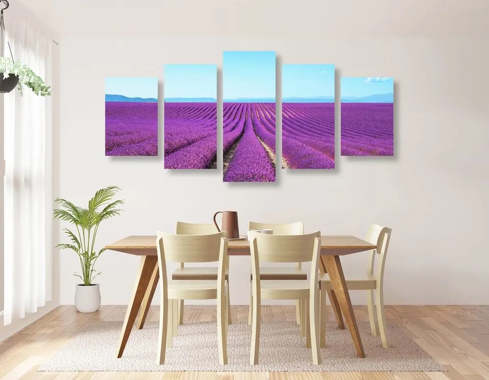 Quadri 5 pezzi – Campo di lavanda infinito
