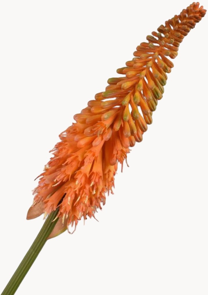 Set di 2 fiori artificiali Kniphofia