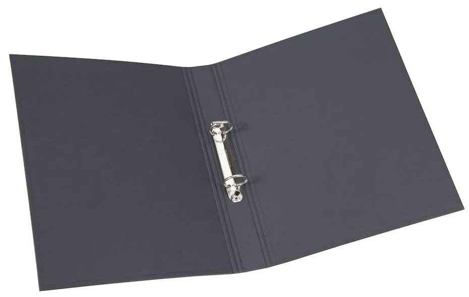 Organizzatore di cartone Ringo - Bigso Box of Sweden