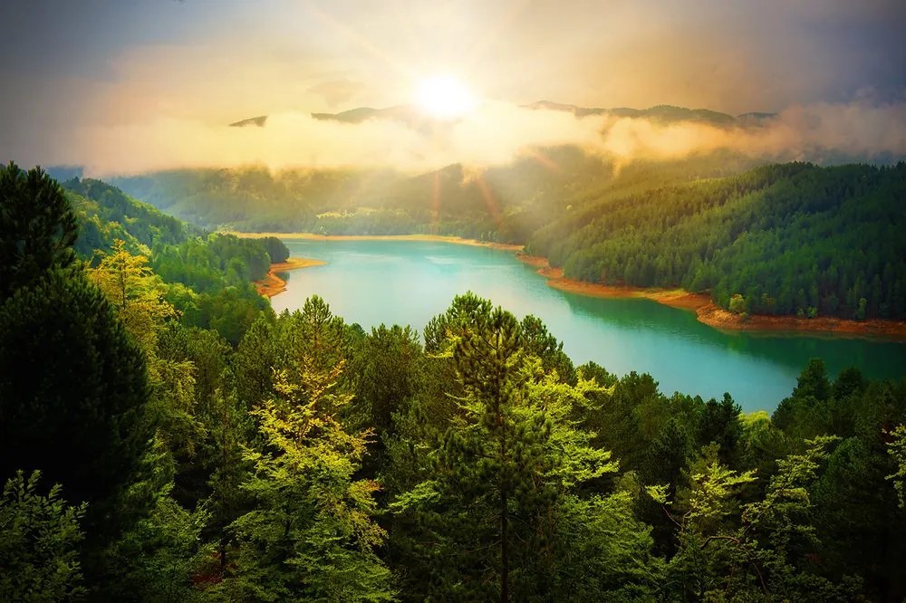 Carta da parati – Fiume nel mezzo della foresta