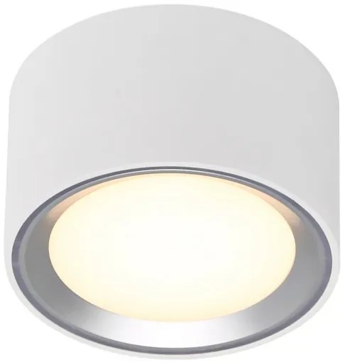 Nordlux - Plafoniera LED dimmerabile FALLON LED/5,5W/230V