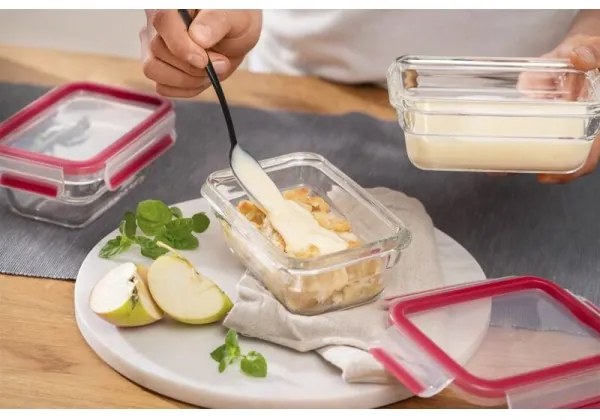 Tefal - Contenitore per alimenti 0,45 l MSEAL GLASS rosso/vetro