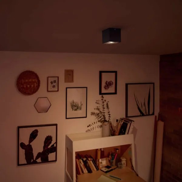 Philips 50491/30/P0 - Lampada dimmerabile a LED MYLIVING BOX LED/4,5W/230V