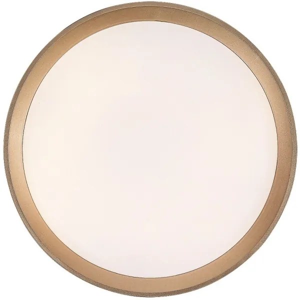 Rabalux 71185 - Plafoniera LED LIATRIS LED/25W/230V 3000K diametro 38 cm