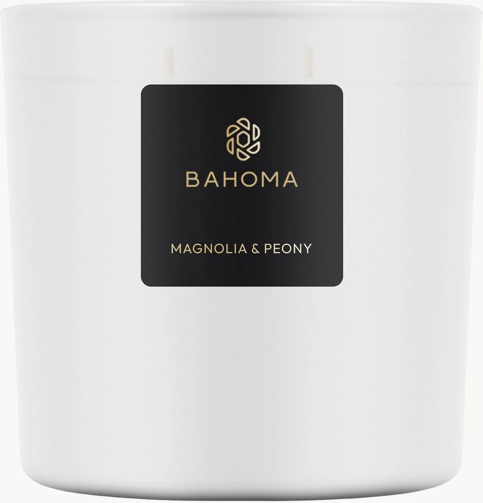 Candela profumata Magnolia & Peony (marino, agrumi, verde)