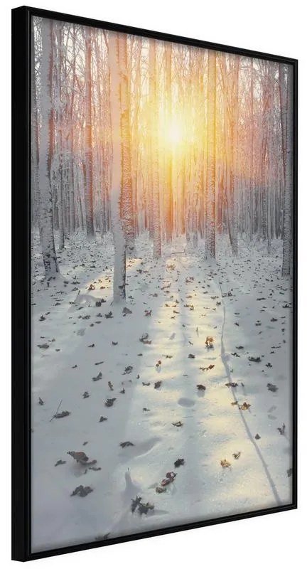 Poster  Frosty Sunset  Cornice Quadri Cornice nera, Larghezza x Altezza Home decor 30x45