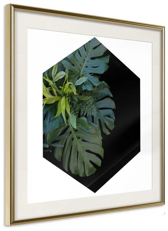 Poster  Cell of Jungle  Cornice Quadri Cornice d'oro con passe-partout, Larghezza x Altezza Home decor 20x20