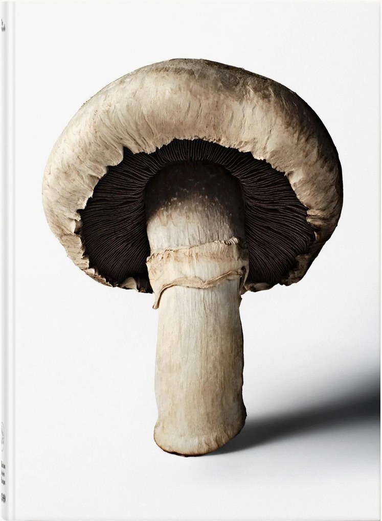 Libro illustrato The Gourmand Mushroom