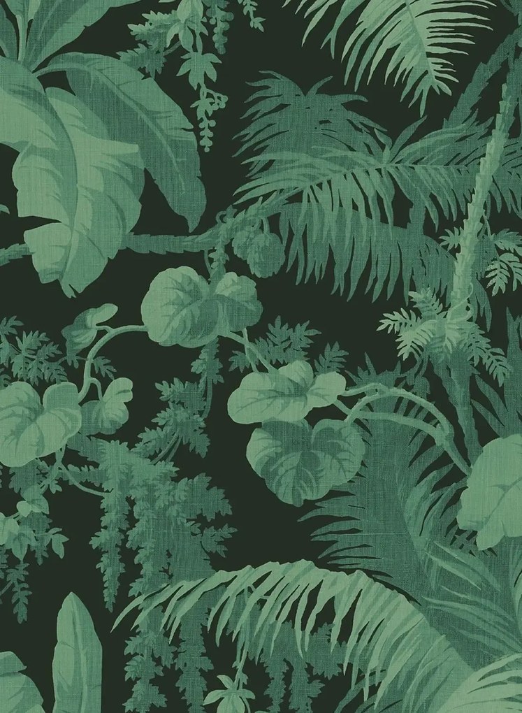 House of Hackney Carta da parati Pampas - Noir