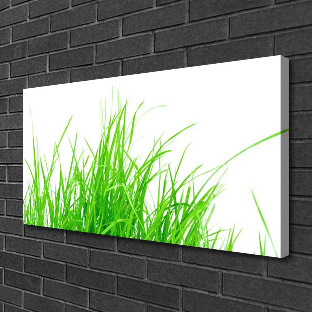 Stampa quadro su tela L'erba La pianta 100x50 cm