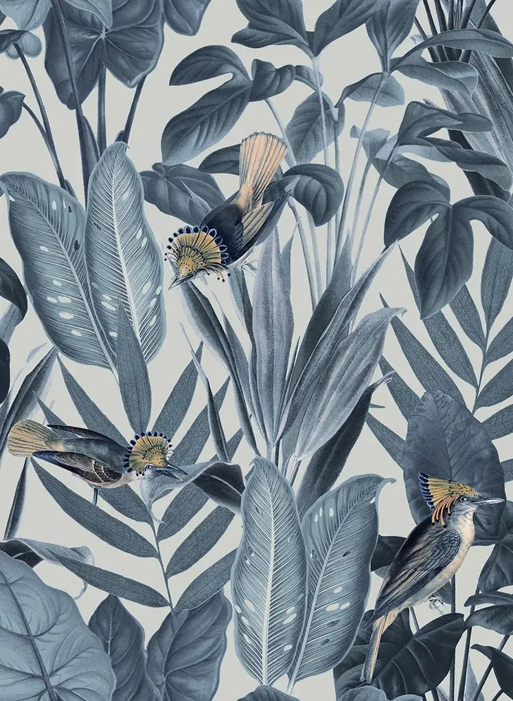 Rebel Walls Carta da parati Birds of Paradise - Nightfall