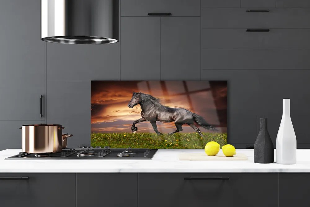 Pannello paraschizzi cucina Animali del prato del cavallo nero 120x60 cm