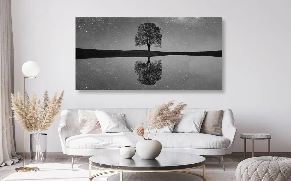 Quadro su tela – Cielo stellato sopra un albero solitario in bianco e nero