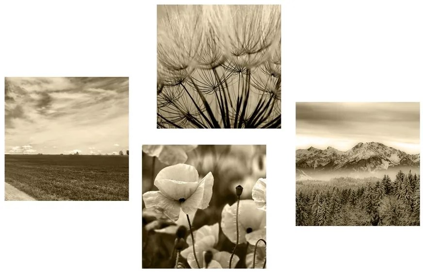 Set di quadri – Paesaggio seppia con fiori