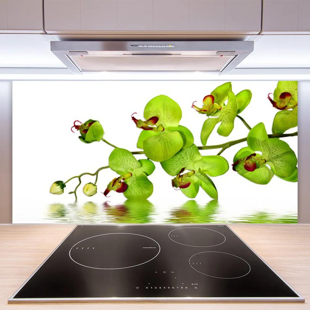 Rivestimento parete cucina Fiori, piante, natura 100x50 cm