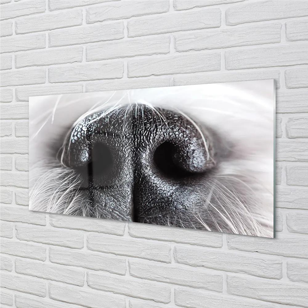 Rivestimento parete cucina Il naso del cane 100x50 cm