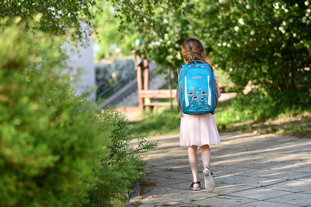 Zaino scuola BOLL SCHOOL MATE 20 l Flamingos - turquoise