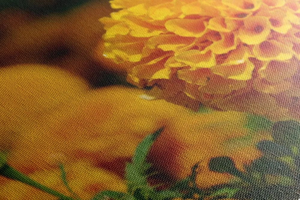 Quadro su tela – Calendula azteca