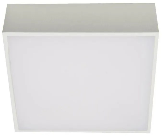 Azzardo AZ2781 - Plafoniera LED FALCO LED/12W/230V