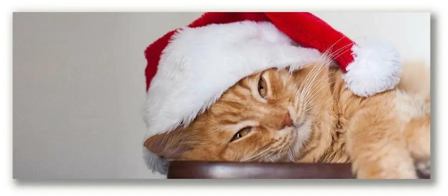 Quadro stampa su tela Cappello di Babbo Natale gatto 100x50 cm