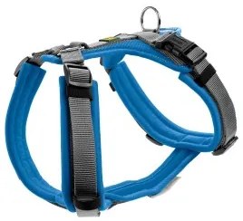 Imbracatura per Cani Hunter Maldon Up Azzurro 38-62 cm