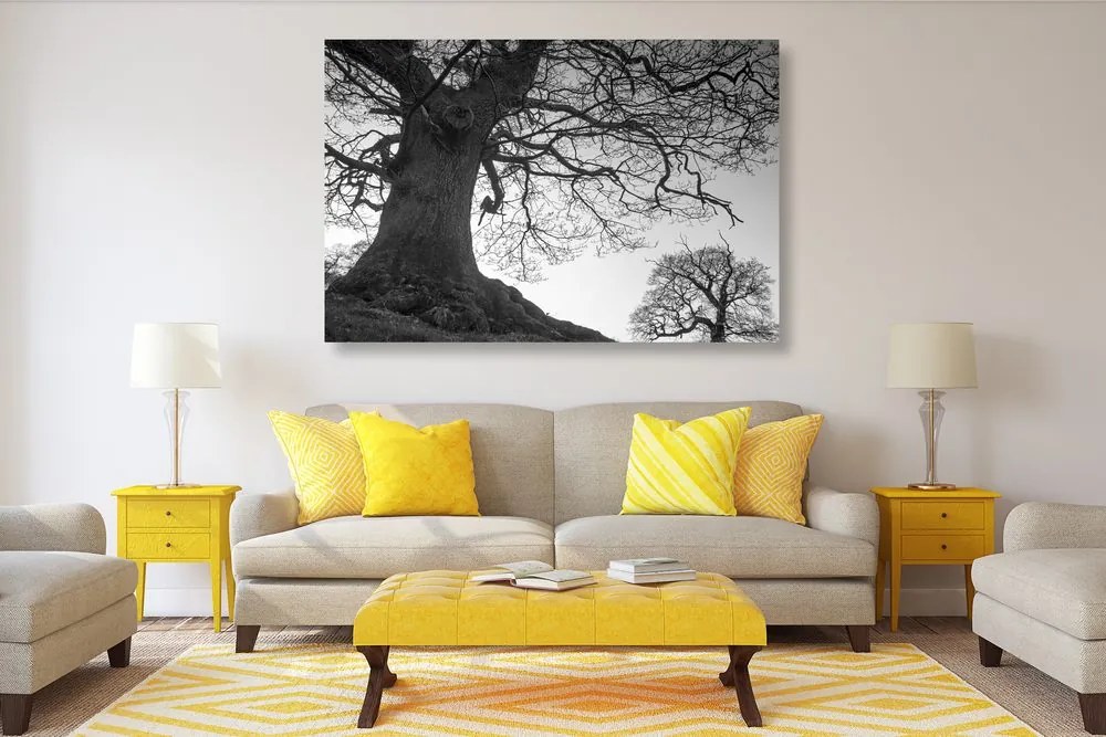 Quadro su tela – Simbiosi degli alberi in bianco e nero