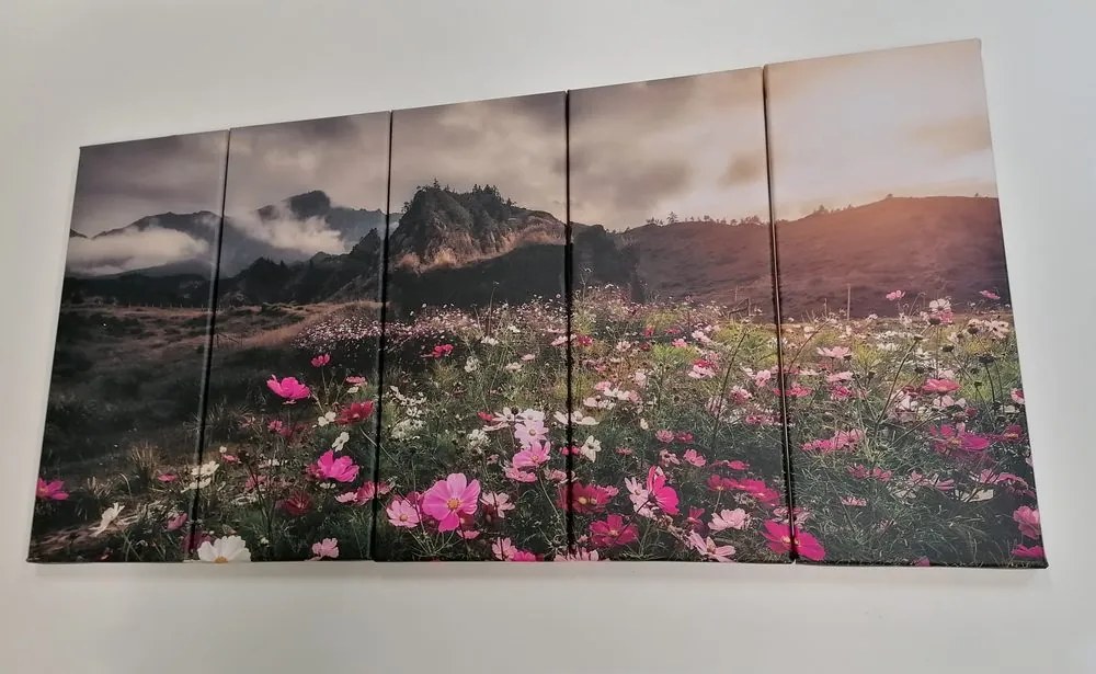 Quadri 5 pezzi – Prato di fiori in fiore