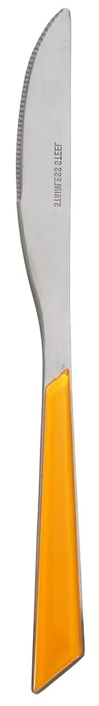 Coltello in acciaio inox