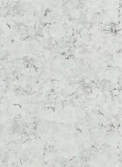 Designers Guild Carta da parati Lustro - Zinc